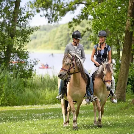 Holiday home Komfortabler Doppelbungalow Mit Terrasse Im Ferienpark Mirow *
